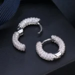 Anziw-Micro-Paved-Full-Moissanite-Hoops-Earrings-Silver-925-Dazzling-Diamond-Ear-Luxury-Jewelry-for-Women.webp