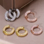 Anziw-Micro-Paved-Full-Moissanite-Hoops-Earrings-Silver-925-Dazzling-Diamond-Ear-Luxury-Jewelry-for-Women.webp