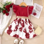 Girls-Knee-Length-Summer-Dresses-for-13-36-Months-and-4-6-Years.webp